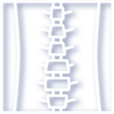 Edmonton and Calgary spinal cord injury lawyers